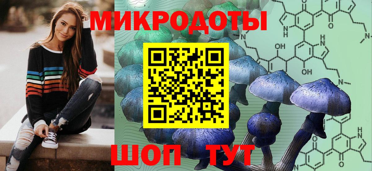 Галлюциногенные грибы Psilocybe Бугуруслан