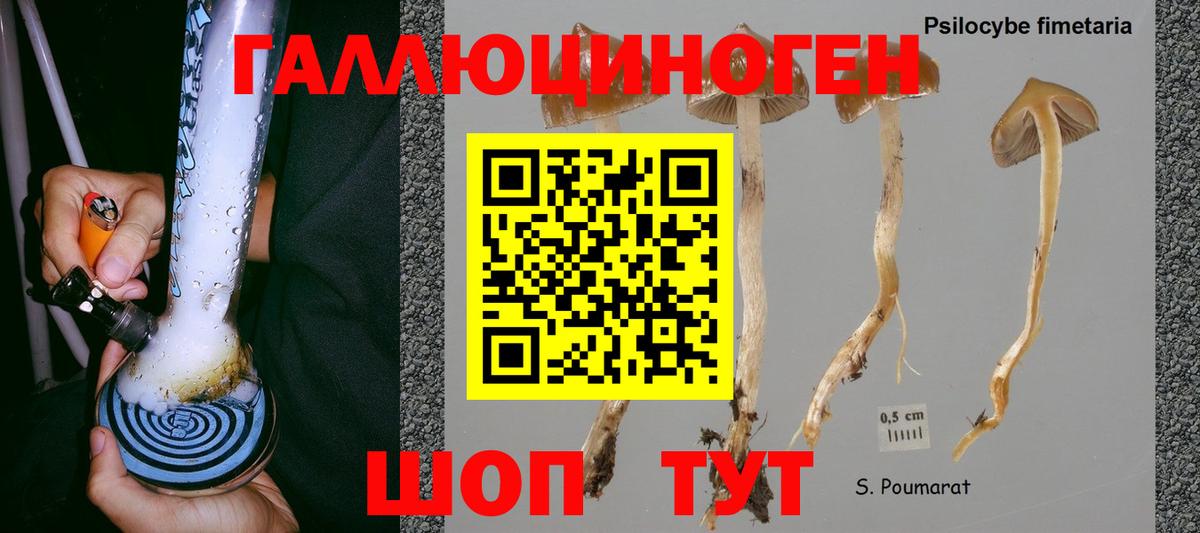 Псилоцибиновые грибы Psilocybe  Галлюциногенные грибы Cubensis  Бугуруслан  Вход с VPN 